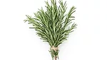 Rosemary Blue California 