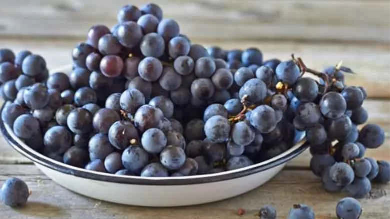 Bowl of Grapes