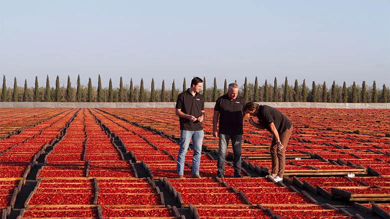 Traina Farm