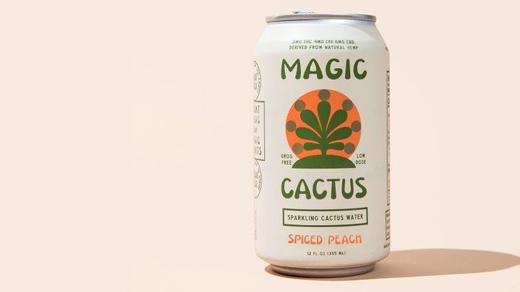 Product Development with a Purpose: The Story Behind Magic Cactus |  Prepared Foods