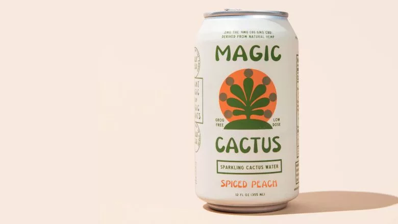 Magic Cactus Spiced Peach