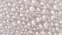 Ultrafine Bubbles 