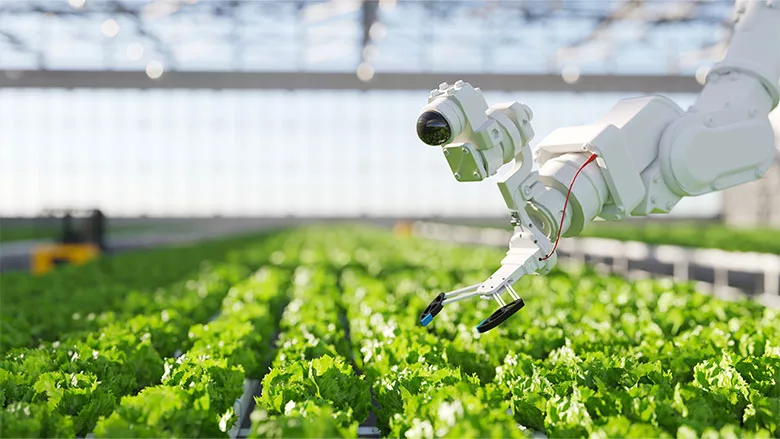 Robot Arm w Lettuce