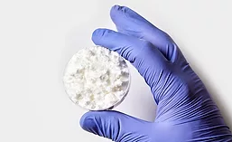 GVB Biopharma isolate