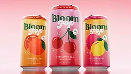  Bloom Pop cans