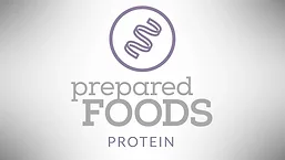 Protein 1.0: An Informal Webinar