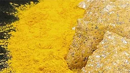 Solar Foods Solein ingredient