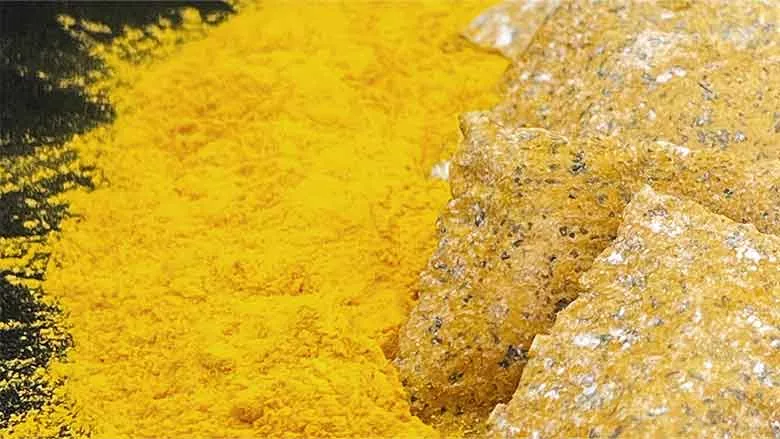 Solar Foods Solein ingredient
