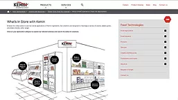 Kemin Website 