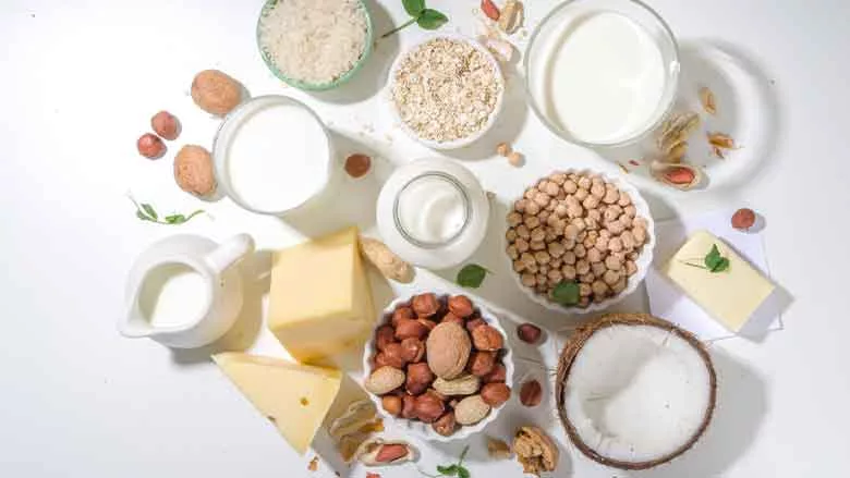 Amano Enzyme Alt milks_