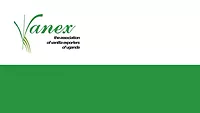 Vanex logo 