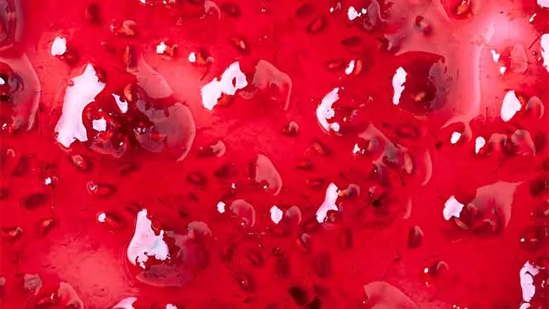 Jungbunzlauer_Red_Product