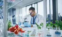 Food scientist