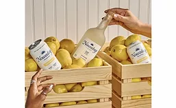 Nowadays Lemonade