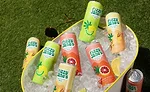 Fizzy Jane's 10 mg beverages