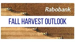 Rabobank Fall Harvest Outlook report
