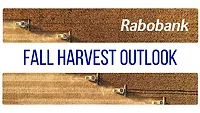 Rabobank Fall Harvest Outlook report