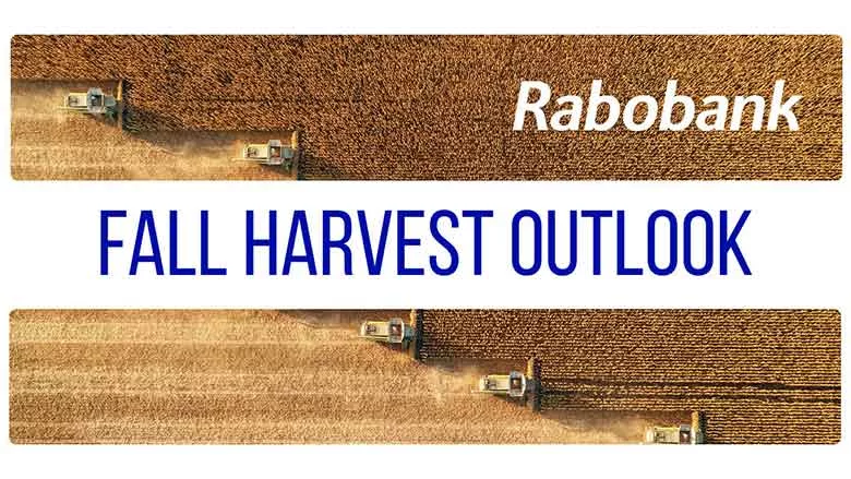 Rabobank Fall Harvest Outlook report