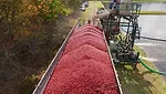 truck filling beside bog 