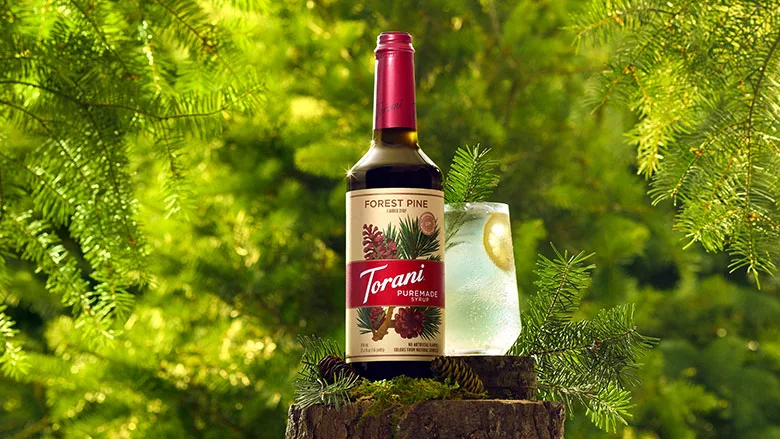Torani Forrest Pine bottle within pine