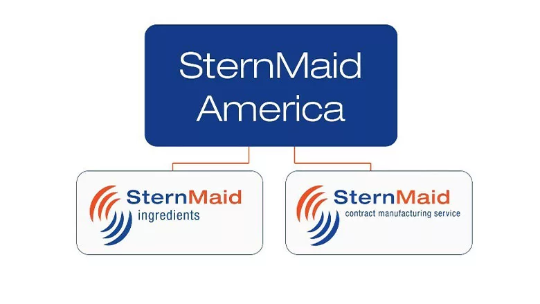 SternMaid America Rebrand Graphic