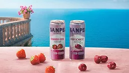 Sanpelligrino Zero Vitamin Can