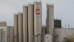 Babybel Facility 