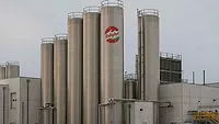 Babybel Facility 