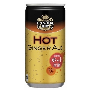 Hot Ginger Ale in body