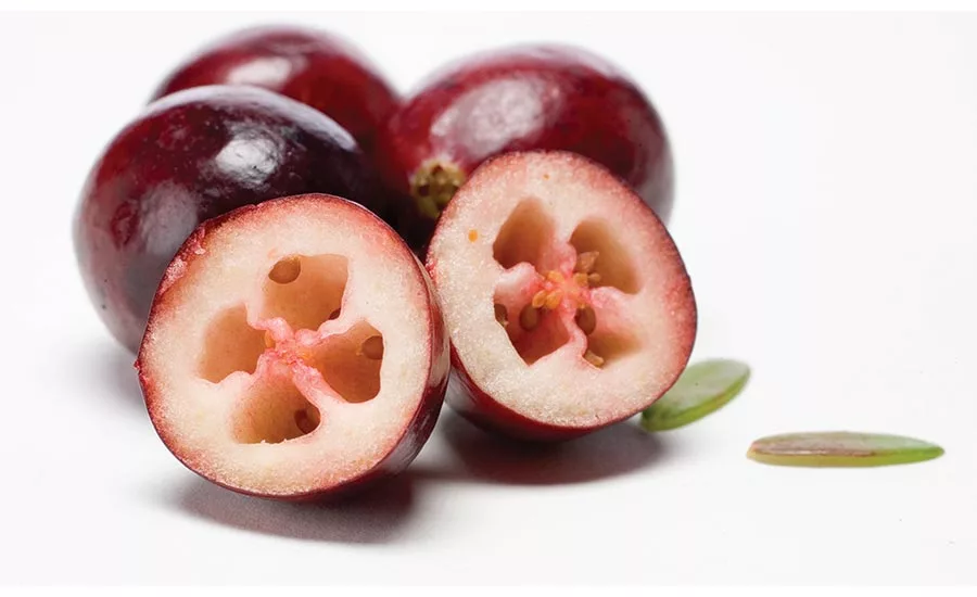 CranberryMktg.Brd._fresh_halved
