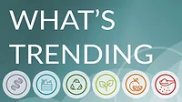 What's Trending