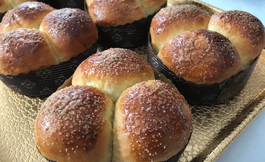 Holton_Brioche_900