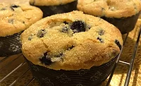 Holton_Muffins_900