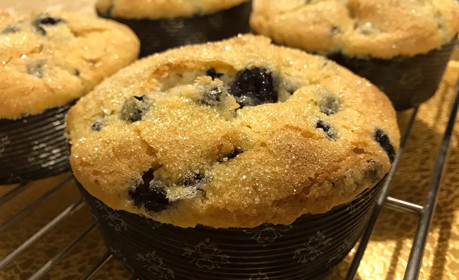 Holton_Muffins_900
