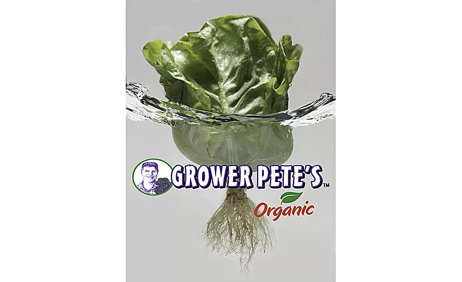 Hollandia Produce Grower Pete's Organic Living Baby Butter Letuce