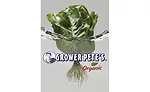 Hollandia Produce Grower Pete's Organic Living Baby Butter Letuce