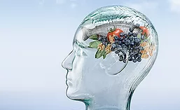 Food for improving brain health and cognitive function