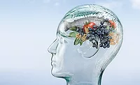 Food for improving brain health and cognitive function
