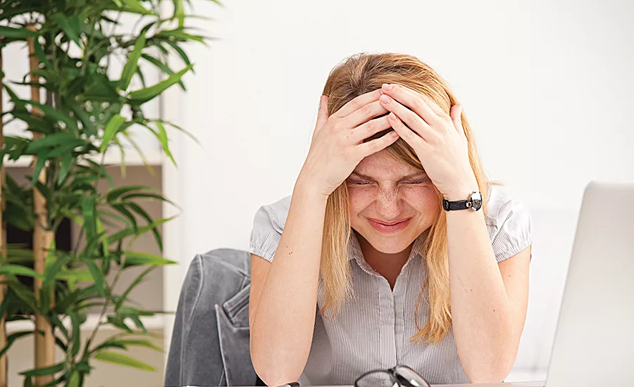 The combination of phosphatidyl serine and phosphatidic acid can mitigate the stress response
