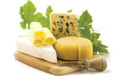 Different types of cheese from Dairy Institute of California