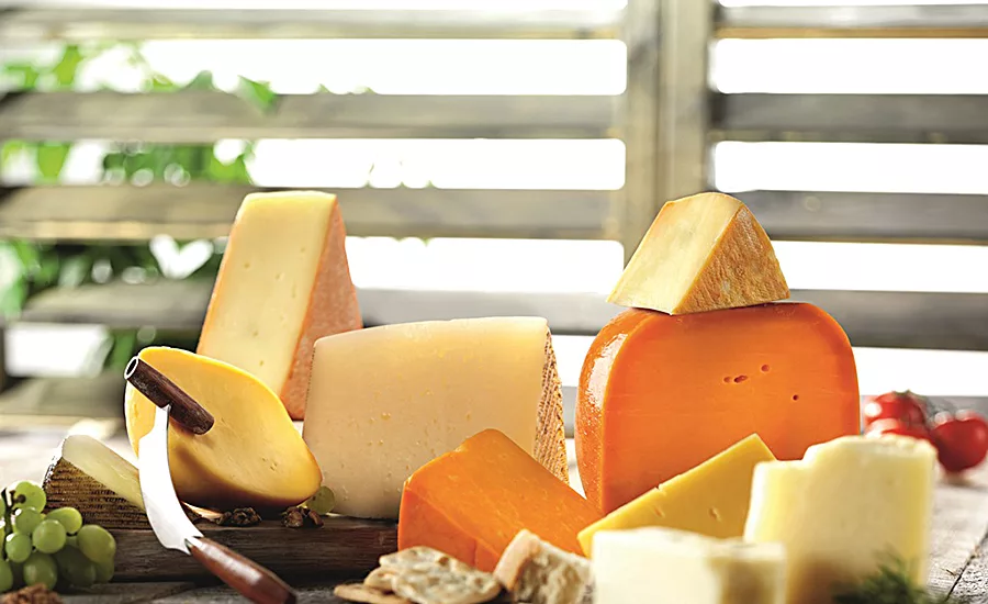 Cheese cultures meet multiply divergent production demands