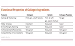 Functional properties of collagen ingredients