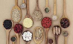 Alternate sources of proteins