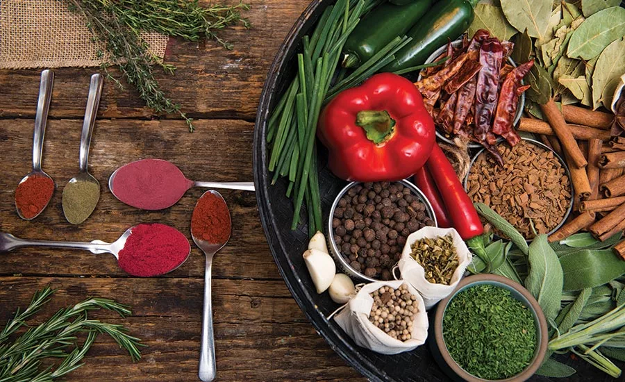Array of spices and seasonings