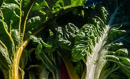 Produce