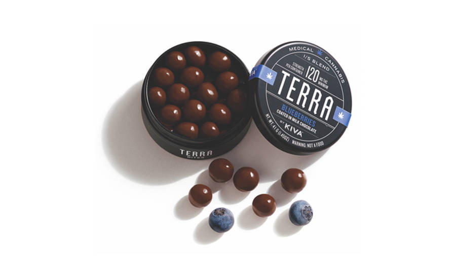 Blueberry Terra Bites