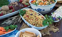 Array of Starch-based Dishes from Kamut