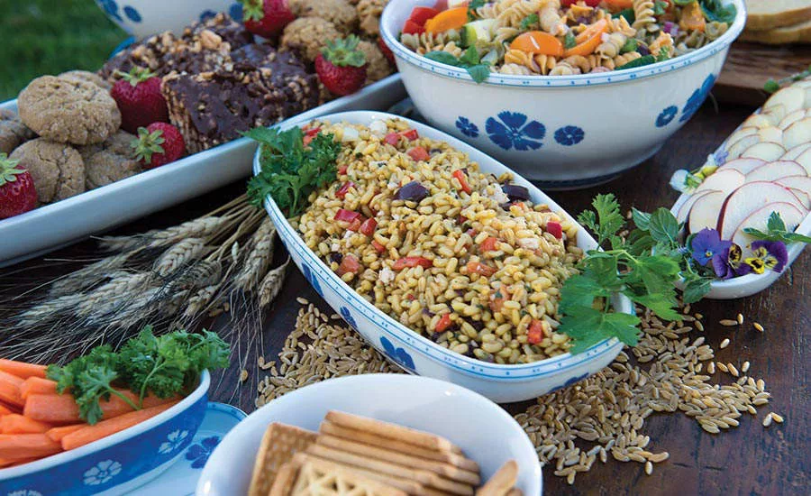 Array of Starch-based Dishes from Kamut