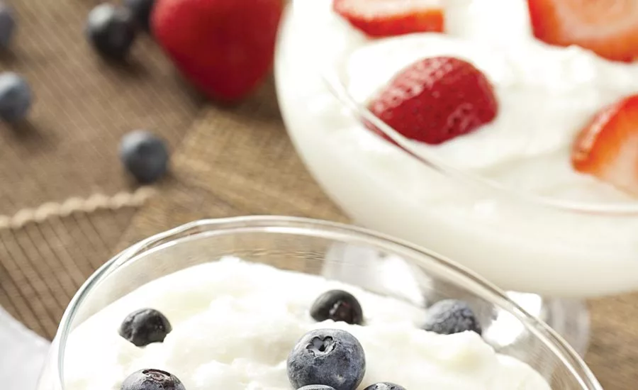 Yogurt made with rice starch