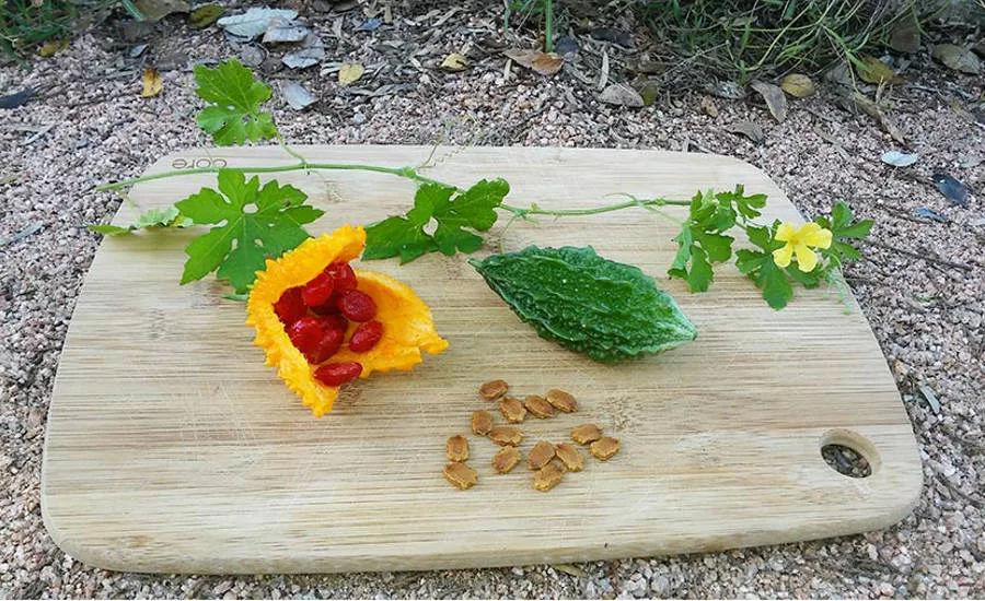 Botanical Ingredients